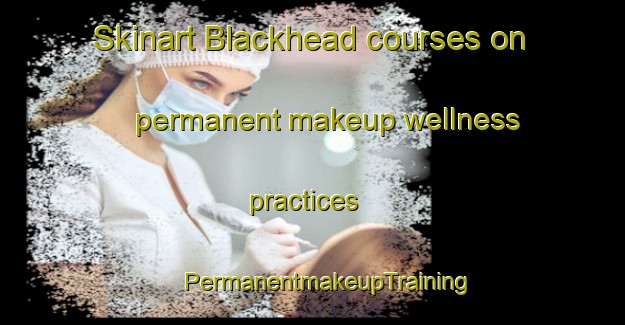 Skinart Blackhead courses on permanent makeup wellness practices | #PermanentmakeupTraining #PermanentmakeupClasses #SkinartTraining-New Zealand