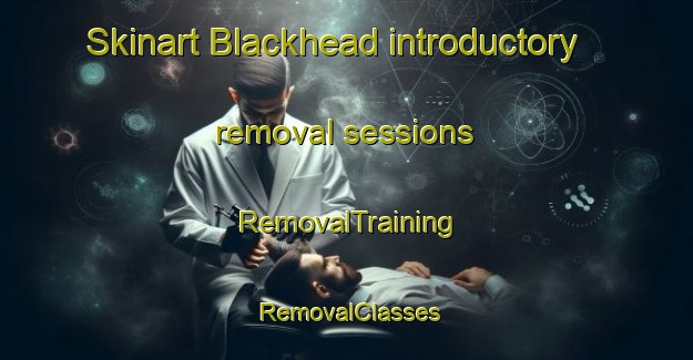 Skinart Blackhead introductory removal sessions | RemovalTraining | RemovalClasses | SkinartTraining-New Zealand