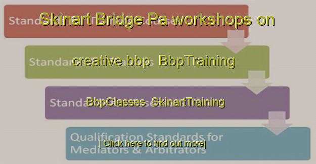 Skinart Bridge Pa workshops on creative bbp | BbpTraining | BbpClasses | SkinartTraining-New Zealand