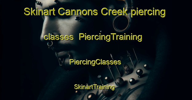 Skinart Cannons Creek piercing classes | #PiercingTraining #PiercingClasses #SkinartTraining-New Zealand