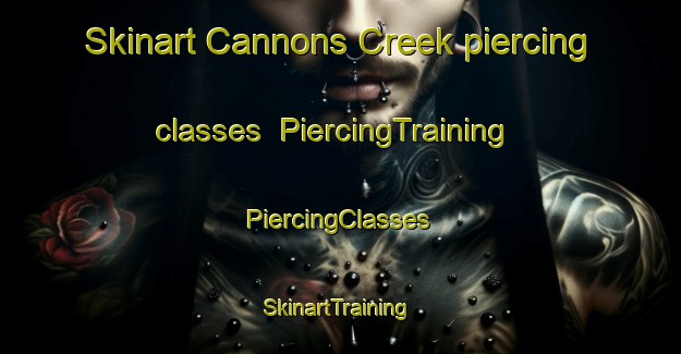 Skinart Cannons Creek piercing classes | #PiercingTraining #PiercingClasses #SkinartTraining-New Zealand