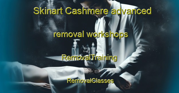 Skinart Cashmere advanced removal workshops | RemovalTraining | RemovalClasses | SkinartTraining-New Zealand