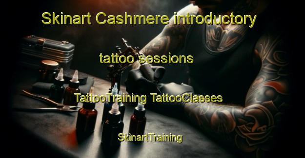 Skinart Cashmere introductory tattoo sessions | #TattooTraining #TattooClasses #SkinartTraining-New Zealand