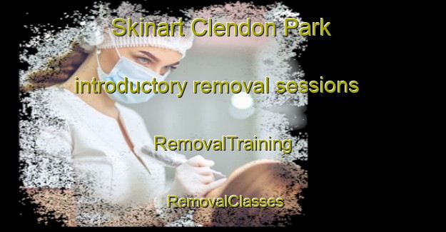 Skinart Clendon Park introductory removal sessions | RemovalTraining | RemovalClasses | SkinartTraining-New Zealand