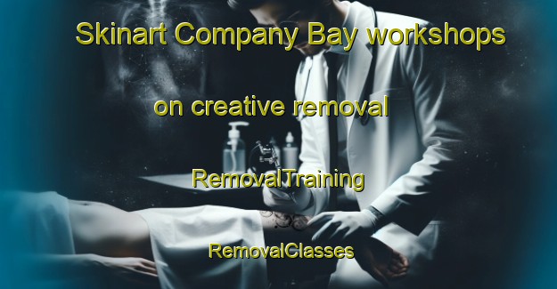 Skinart Company Bay workshops on creative removal | RemovalTraining | RemovalClasses | SkinartTraining-New Zealand