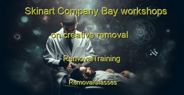 Skinart Company Bay workshops on creative removal | RemovalTraining | RemovalClasses | SkinartTraining-New Zealand