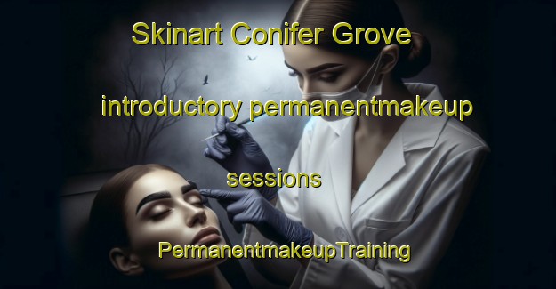 Skinart Conifer Grove introductory permanentmakeup sessions | PermanentmakeupTraining | PermanentmakeupClasses | SkinartTraining-New Zealand