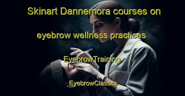 Skinart Dannemora courses on eyebrow wellness practices | EyebrowTraining | EyebrowClasses | SkinartTraining-New Zealand