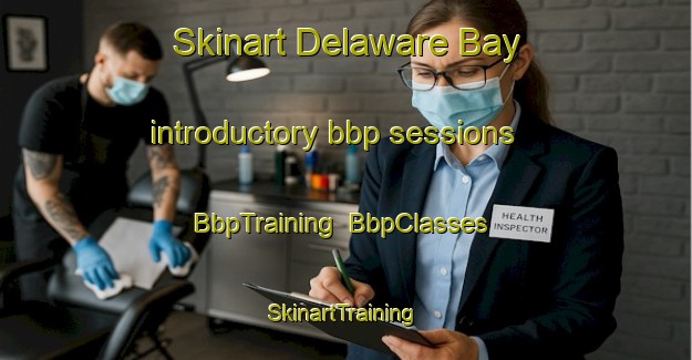 Skinart Delaware Bay introductory bbp sessions | BbpTraining | BbpClasses | SkinartTraining-New Zealand