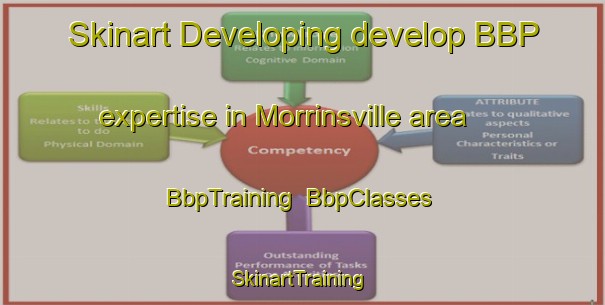Skinart Developing develop BBP expertise in Morrinsville area | BbpTraining | BbpClasses | SkinartTraining-New Zealand