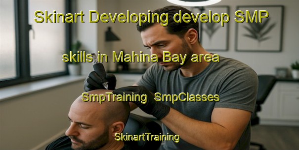 Skinart Developing develop SMP skills in Mahina Bay area | SmpTraining | SmpClasses | SkinartTraining-New Zealand