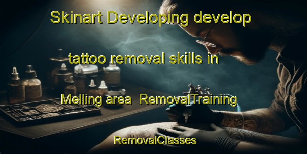 Skinart Developing develop tattoo removal skills in Melling area | RemovalTraining | RemovalClasses | SkinartTraining-New Zealand