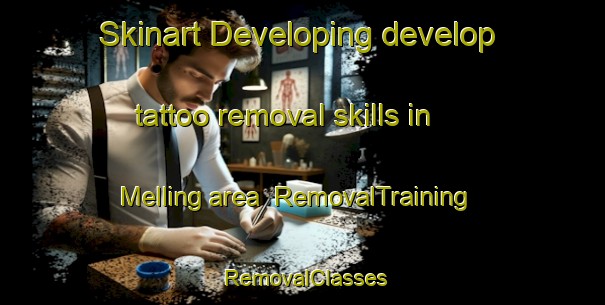 Skinart Developing develop tattoo removal skills in Melling area | RemovalTraining | RemovalClasses | SkinartTraining-New Zealand