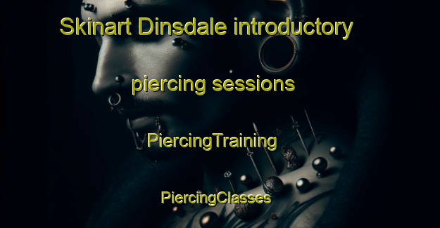 Skinart Dinsdale introductory piercing sessions | PiercingTraining | PiercingClasses | SkinartTraining-New Zealand