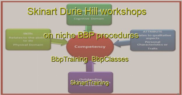 Skinart Durie Hill workshops on niche BBP procedures | BbpTraining | BbpClasses | SkinartTraining-New Zealand