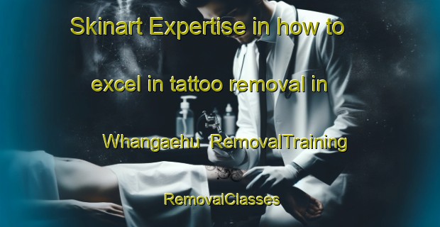 Skinart Expertise in how to excel in tattoo removal in Whangaehu | RemovalTraining | RemovalClasses | SkinartTraining-New Zealand
