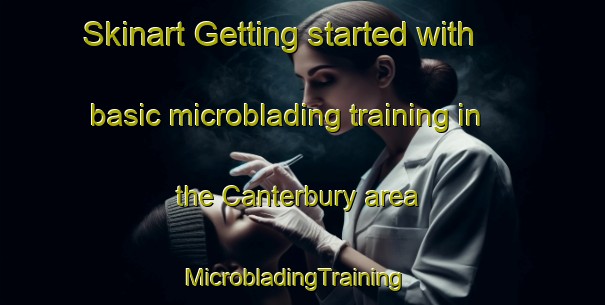 Skinart Getting started with basic microblading training in the Canterbury area | MicrobladingTraining | MicrobladingClasses | SkinartTraining-New Zealand
