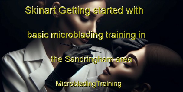 Skinart Getting started with basic microblading training in the Sandringham area | MicrobladingTraining | MicrobladingClasses | SkinartTraining-New Zealand