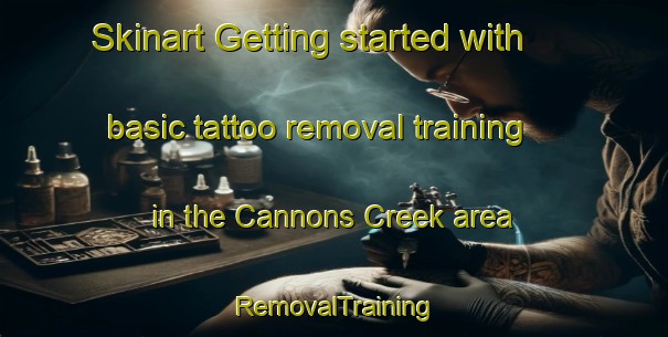 Skinart Getting started with basic tattoo removal training in the Cannons Creek area | RemovalTraining | RemovalClasses | SkinartTraining-New Zealand