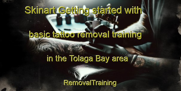 Skinart Getting started with basic tattoo removal training in the Tolaga Bay area | RemovalTraining | RemovalClasses | SkinartTraining-New Zealand