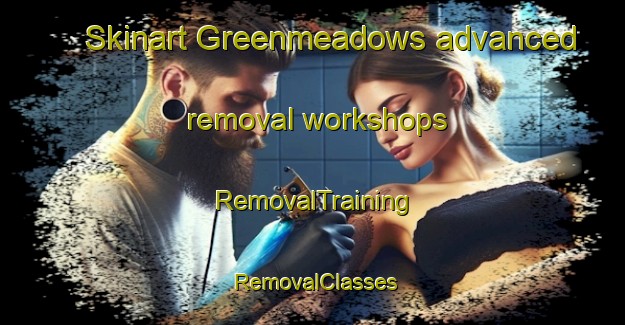 Skinart Greenmeadows advanced removal workshops | RemovalTraining | RemovalClasses | SkinartTraining-New Zealand