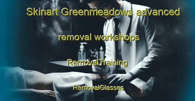 Skinart Greenmeadows advanced removal workshops | RemovalTraining | RemovalClasses | SkinartTraining-New Zealand