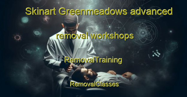 Skinart Greenmeadows advanced removal workshops | RemovalTraining | RemovalClasses | SkinartTraining-New Zealand