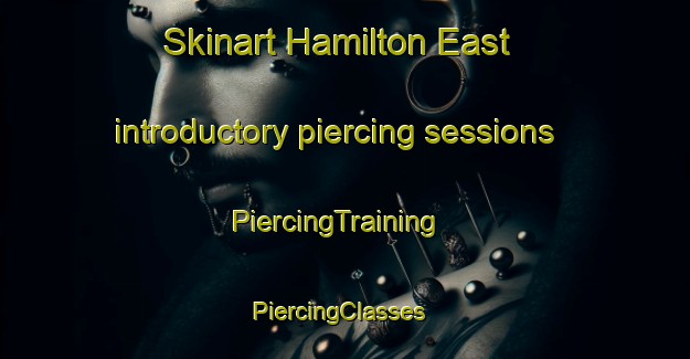 Skinart Hamilton East introductory piercing sessions | PiercingTraining | PiercingClasses | SkinartTraining-New Zealand