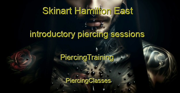 Skinart Hamilton East introductory piercing sessions | PiercingTraining | PiercingClasses | SkinartTraining-New Zealand