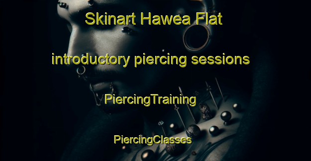 Skinart Hawea Flat introductory piercing sessions | PiercingTraining | PiercingClasses | SkinartTraining-New Zealand