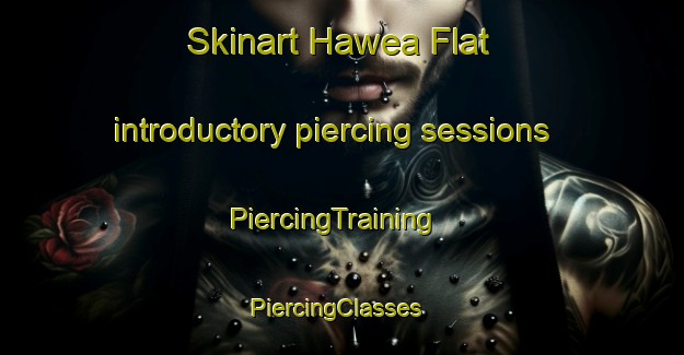 Skinart Hawea Flat introductory piercing sessions | PiercingTraining | PiercingClasses | SkinartTraining-New Zealand