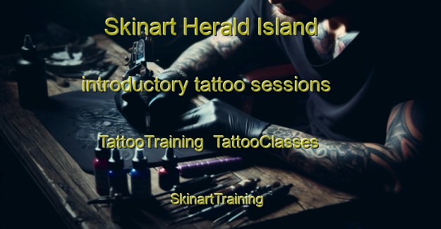 Skinart Herald Island introductory tattoo sessions | TattooTraining | TattooClasses | SkinartTraining-New Zealand