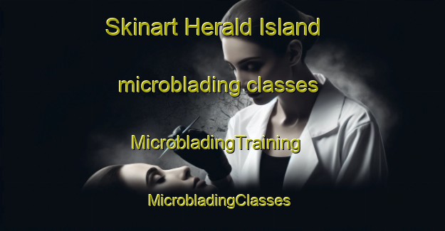 Skinart Herald Island microblading classes | MicrobladingTraining | MicrobladingClasses | SkinartTraining-New Zealand
