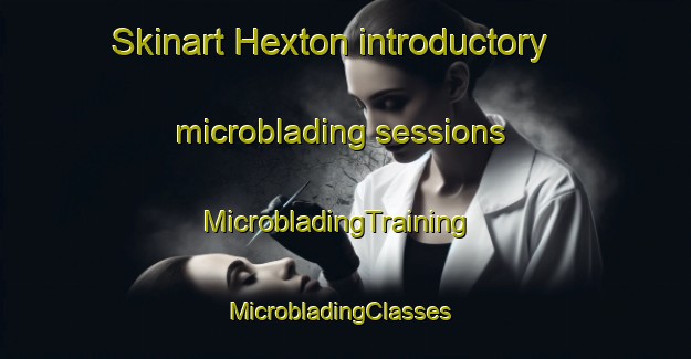 Skinart Hexton introductory microblading sessions | MicrobladingTraining | MicrobladingClasses | SkinartTraining-New Zealand