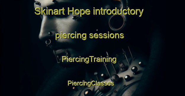 Skinart Hope introductory piercing sessions | PiercingTraining | PiercingClasses | SkinartTraining-New Zealand