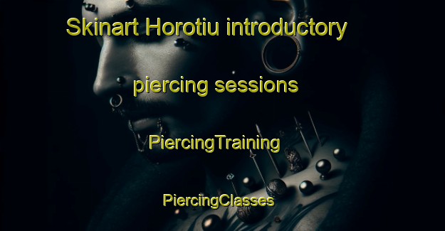 Skinart Horotiu introductory piercing sessions | PiercingTraining | PiercingClasses | SkinartTraining-New Zealand