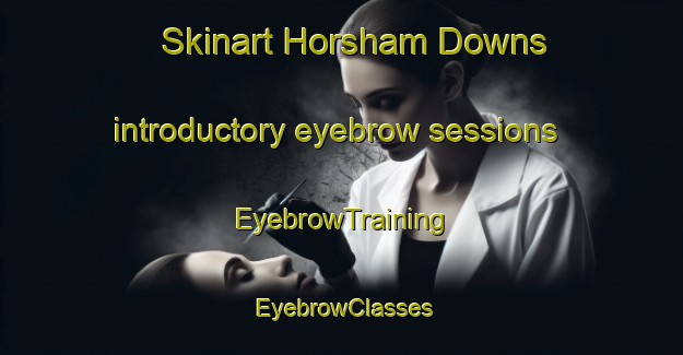 Skinart Horsham Downs introductory eyebrow sessions | EyebrowTraining | EyebrowClasses | SkinartTraining-New Zealand
