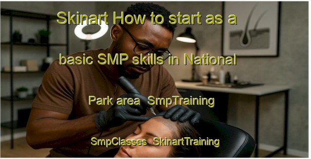 Skinart How to start as a basic SMP skills in National Park area | SmpTraining | SmpClasses | SkinartTraining-New Zealand