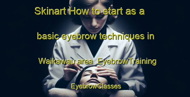 Skinart How to start as a basic eyebrow techniques in Waikawau area | EyebrowTraining | EyebrowClasses | SkinartTraining-New Zealand