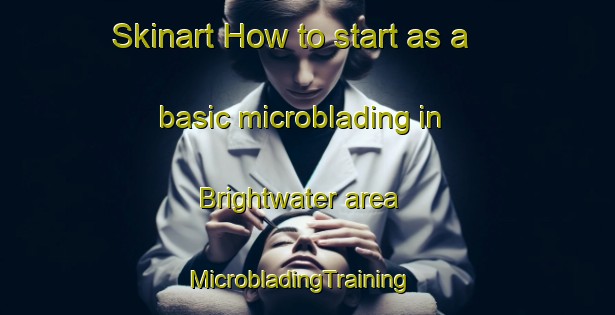 Skinart How to start as a basic microblading in Brightwater area | MicrobladingTraining | MicrobladingClasses | SkinartTraining-New Zealand
