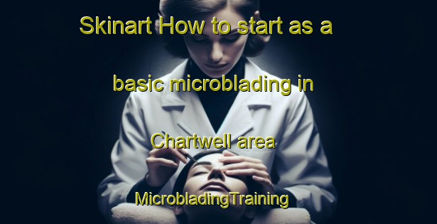 Skinart How to start as a basic microblading in Chartwell area | MicrobladingTraining | MicrobladingClasses | SkinartTraining-New Zealand