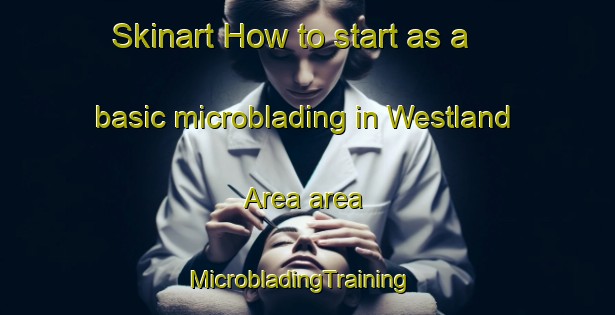 Skinart How to start as a basic microblading in Westland Area area | MicrobladingTraining | MicrobladingClasses | SkinartTraining-New Zealand