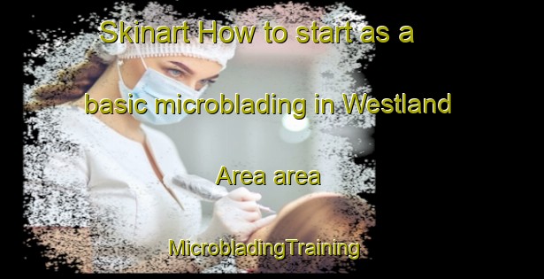 Skinart How to start as a basic microblading in Westland Area area | MicrobladingTraining | MicrobladingClasses | SkinartTraining-New Zealand