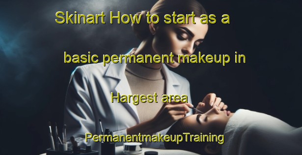 Skinart How to start as a basic permanent makeup in Hargest area | PermanentmakeupTraining | PermanentmakeupClasses | SkinartTraining-New Zealand