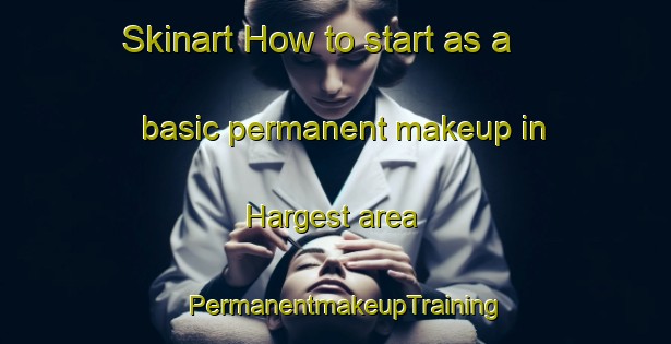 Skinart How to start as a basic permanent makeup in Hargest area | PermanentmakeupTraining | PermanentmakeupClasses | SkinartTraining-New Zealand