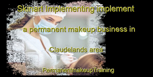 Skinart Implementing implement a permanent makeup business in Claudelands area | PermanentmakeupTraining | PermanentmakeupClasses | SkinartTraining-New Zealand