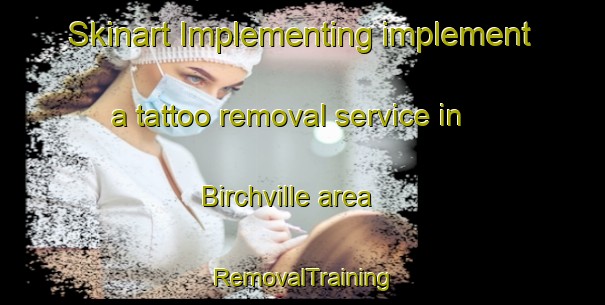 Skinart Implementing implement a tattoo removal service in Birchville area | RemovalTraining | RemovalClasses | SkinartTraining-New Zealand