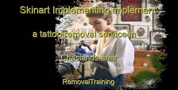 Skinart Implementing implement a tattoo removal service in Chaslands area | RemovalTraining | RemovalClasses | SkinartTraining-New Zealand