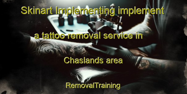 Skinart Implementing implement a tattoo removal service in Chaslands area | RemovalTraining | RemovalClasses | SkinartTraining-New Zealand