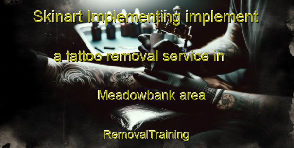 Skinart Implementing implement a tattoo removal service in Meadowbank area | RemovalTraining | RemovalClasses | SkinartTraining-New Zealand